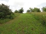 10.45 Acres Ringhand Rd - Photo 31