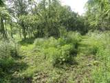 10.45 Acres Ringhand Rd - Photo 33