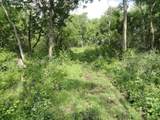 10.45 Acres Ringhand Rd - Photo 34