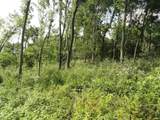 10.45 Acres Ringhand Rd - Photo 35