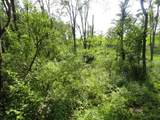 10.45 Acres Ringhand Rd - Photo 36