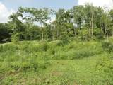 10.45 Acres Ringhand Rd - Photo 38