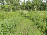 10.45 Acres Ringhand Rd - Photo 39