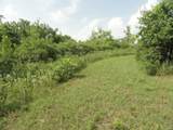 10.45 Acres Ringhand Rd - Photo 41