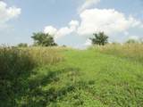 10.45 Acres Ringhand Rd - Photo 42
