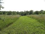 10.45 Acres Ringhand Rd - Photo 43