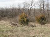 10.45 Acres Ringhand Rd - Photo 62