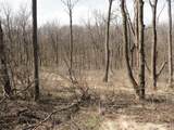 10.45 Acres Ringhand Rd - Photo 64