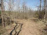 10.45 Acres Ringhand Rd - Photo 67