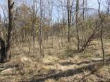 10.45 Acres Ringhand Rd - Photo 69