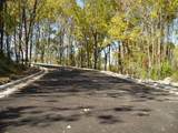 225 Whitetail Lane - Photo 31