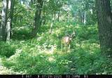 46113 Sand Creek Road - Photo 15