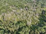 15 Acres Highway 13 - Photo 9