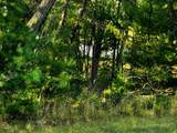  Dyke Drive - Photo 10