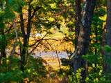  Dyke Drive - Photo 11