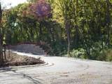 229 Whitetail Lane - Photo 44