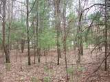 Lot 3 Meiller Road - Photo 2