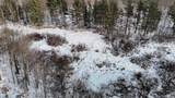 4400 Deer Lane - Photo 40