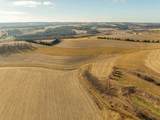 Lot 8 11.65 Acres Hefty Road - Photo 12