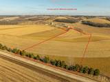 Lot 8 11.65 Acres Hefty Road - Photo 5