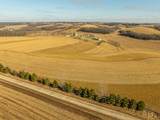 Lot 8 11.65 Acres Hefty Road - Photo 7