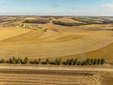 Lot 8 11.65 Acres Hefty Road - Photo 8