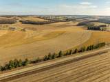 Lot 8 11.65 Acres Hefty Road - Photo 9
