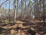 Lot 11 Ptarmigan Drive - Photo 3