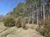 Lot 11 Ptarmigan Drive - Photo 4