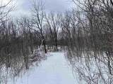  79 Acres, Byers Rd - Photo 11