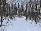  79 Acres, Byers Rd - Photo 17