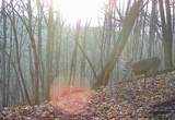  79 Acres, Byers Rd - Photo 19