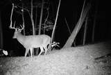  79 Acres, Byers Rd - Photo 21