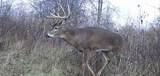  79 Acres, Byers Rd - Photo 22