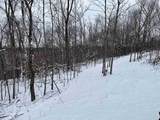  79 Acres, Byers Rd - Photo 7