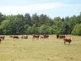 N6702 12th Road - Photo 21