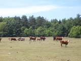 N6702 12th Road - Photo 23