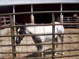 N6702 12th Road - Photo 24