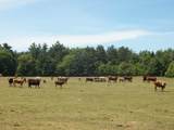 N6702 12th Road - Photo 32