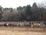 N6702 12th Road - Photo 35
