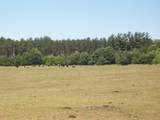 N6702 12th Road - Photo 47