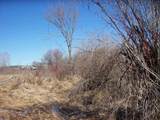  Wilcox Road - Photo 41