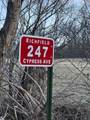 247 Cypress Avenue - Photo 10