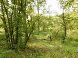5990 Mill Road - Photo 13