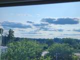 6911 Mangrove Lane - Photo 51