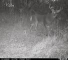 31187 County F Road - Photo 38