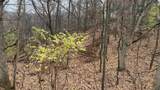 L27-29 Hillside Drive - Photo 17