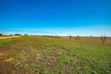 Lot 11 Tall Grass Lane - Photo 9