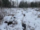 4400 Deer Lane - Photo 31