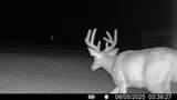 2542 County Road P - Photo 33